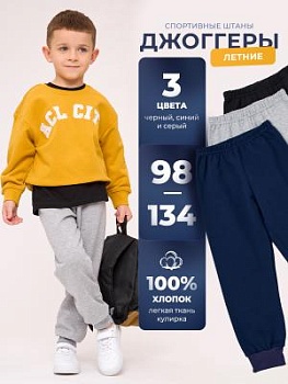 Штаны детские спортивные КУЛИРКА (арт. ШК301)